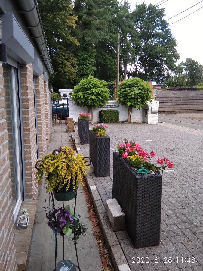 Holiday Home Harmony Brecht Esterno foto