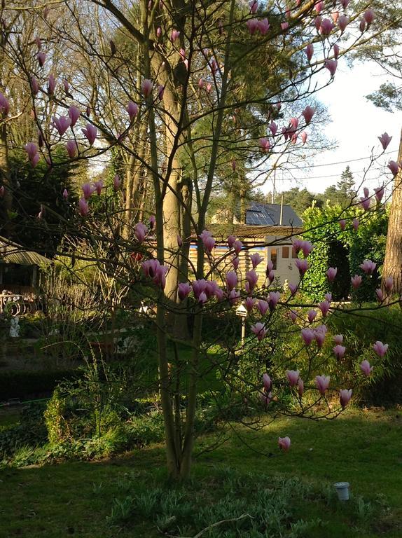 Holiday Home Harmony Brecht Esterno foto
